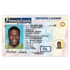 Deutscher Führerschein USA